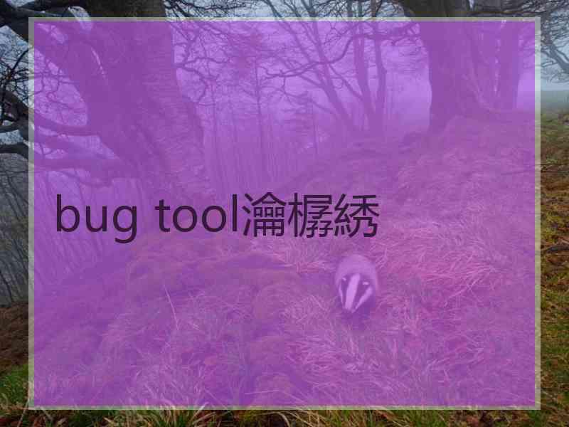 bug tool瀹樼綉