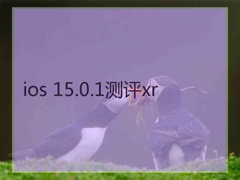 ios 15.0.1测评xr