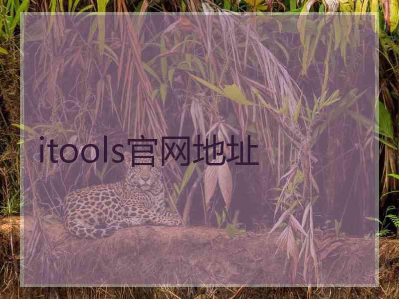 itools官网地址