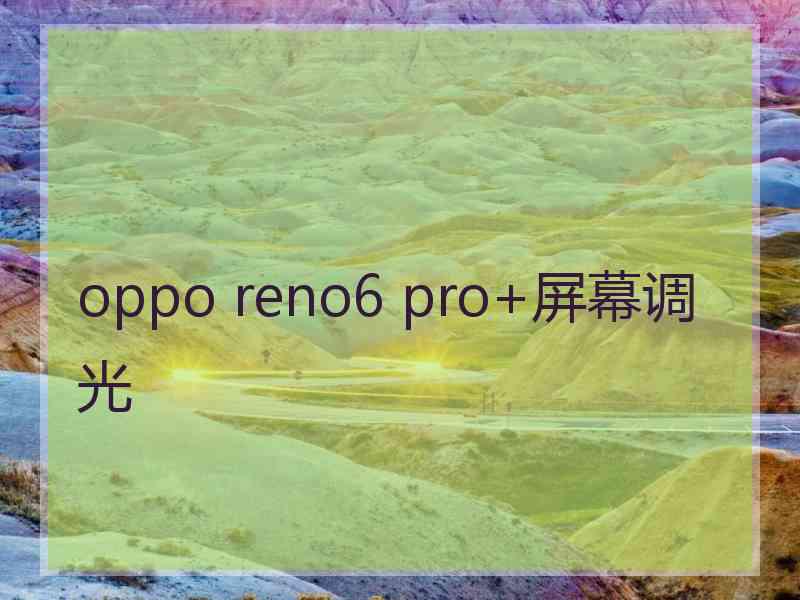 oppo reno6 pro+屏幕调光