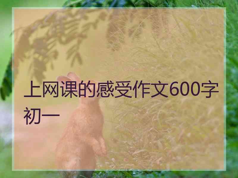 上网课的感受作文600字初一