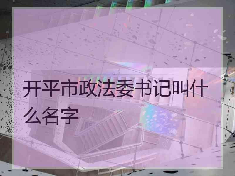 开平市政法委书记叫什么名字