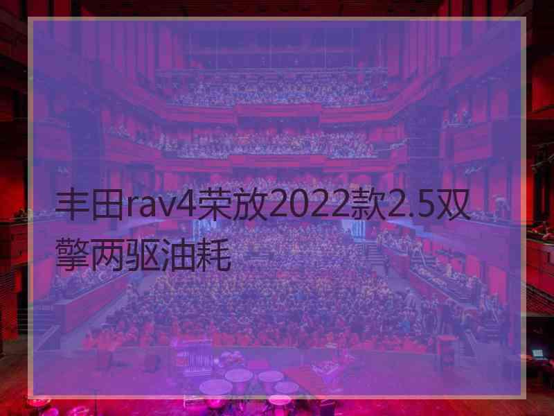 丰田rav4荣放2022款2.5双擎两驱油耗