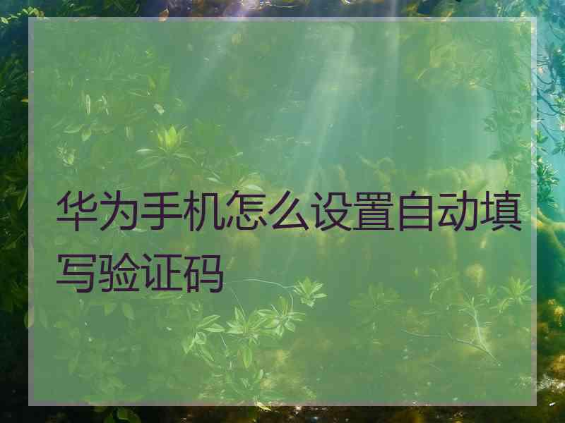 华为手机怎么设置自动填写验证码