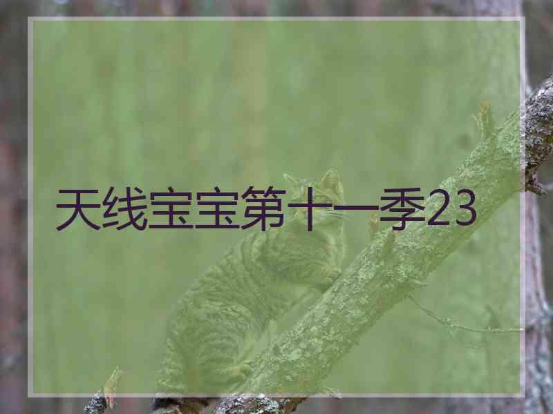 天线宝宝第十一季23