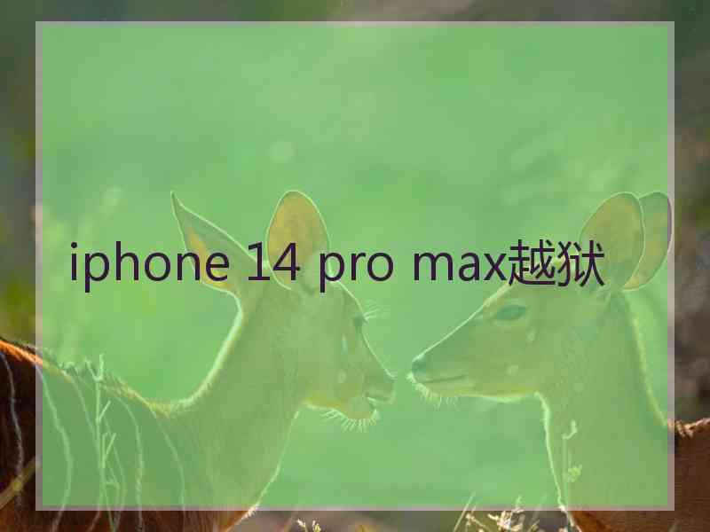 iphone 14 pro max越狱