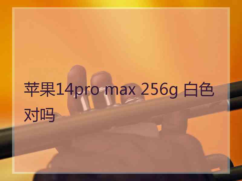 苹果14pro max 256g 白色对吗