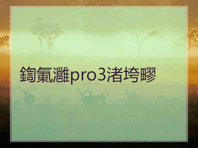 鍧氭灉pro3渚垮疁