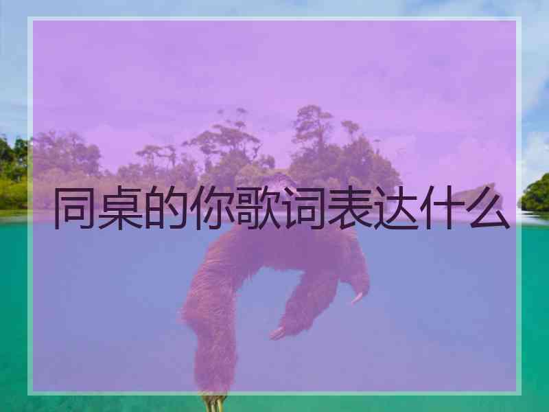 同桌的你歌词表达什么