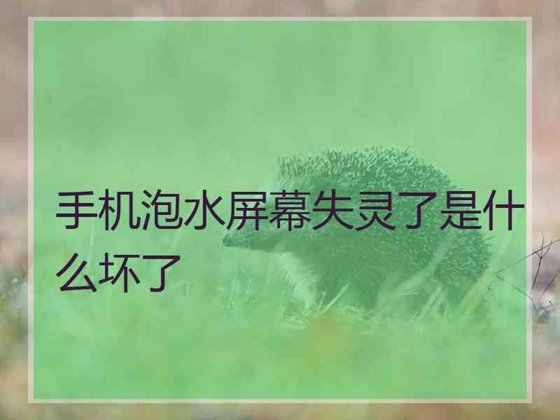 手机泡水屏幕失灵了是什么坏了