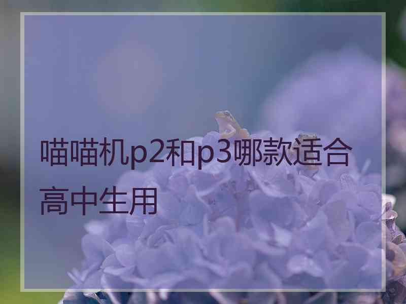 喵喵机p2和p3哪款适合高中生用