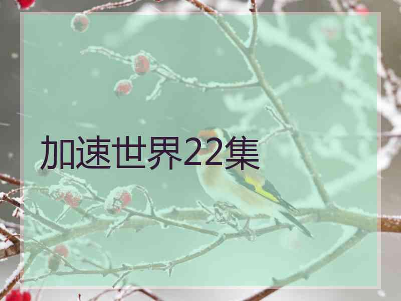 加速世界22集