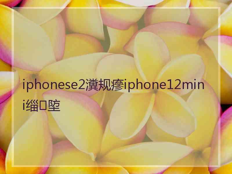 iphonese2瀵规瘮iphone12mini缁埅