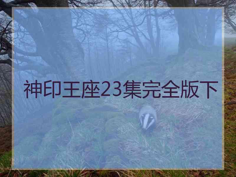 神印王座23集完全版下