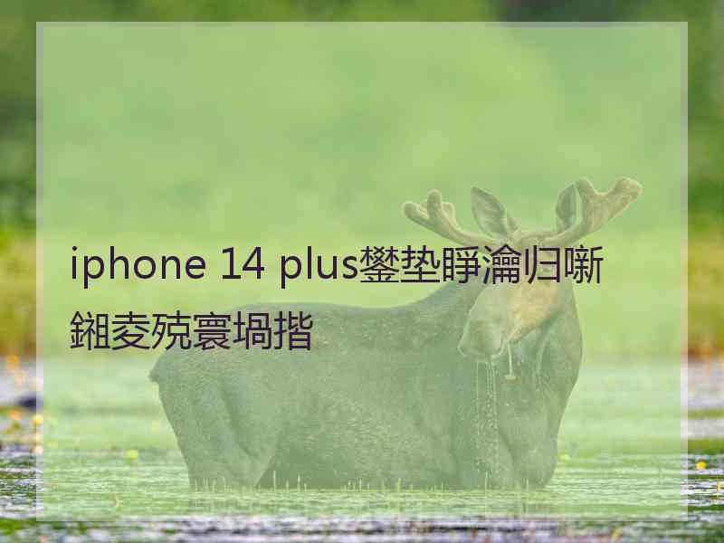 iphone 14 plus鐢垫睜瀹归噺鎺夌殑寰堝揩