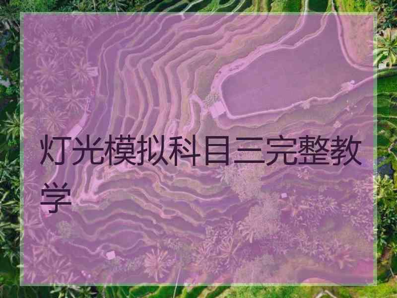 灯光模拟科目三完整教学