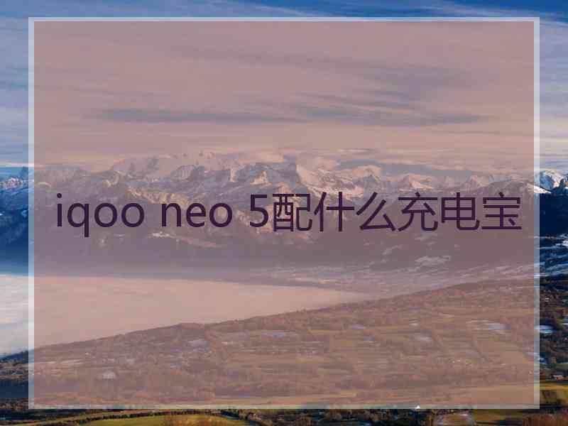 iqoo neo 5配什么充电宝