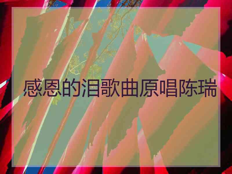 感恩的泪歌曲原唱陈瑞