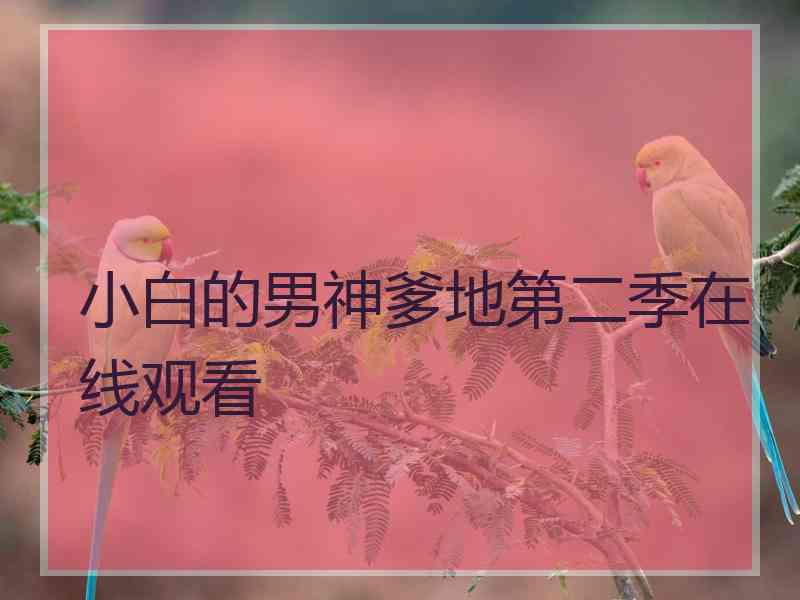 小白的男神爹地第二季在线观看