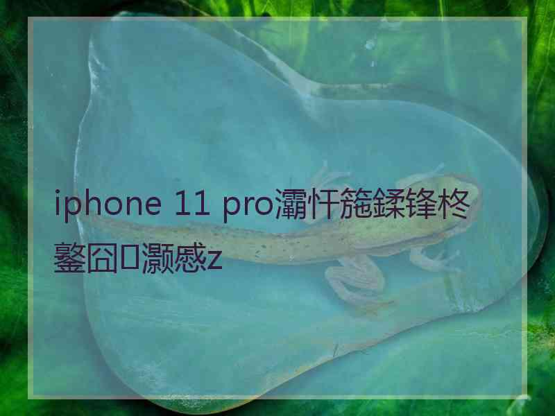 iphone 11 pro灞忓箷鍒锋柊鐜囧灏慼z