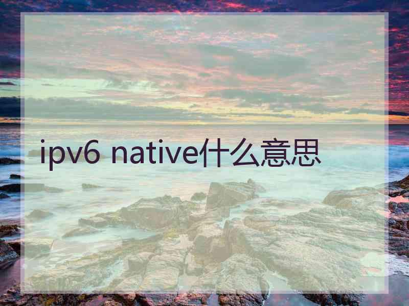 ipv6 native什么意思