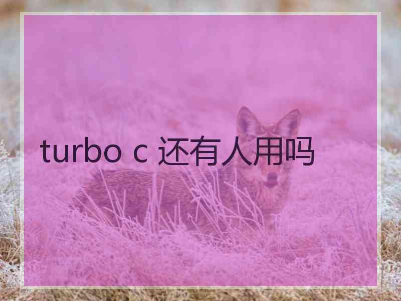 turbo c 还有人用吗