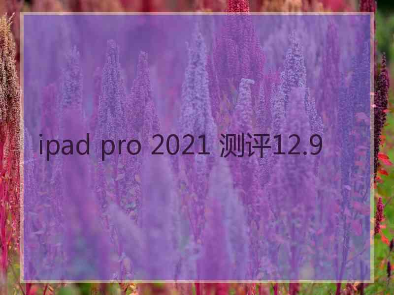 ipad pro 2021 测评12.9