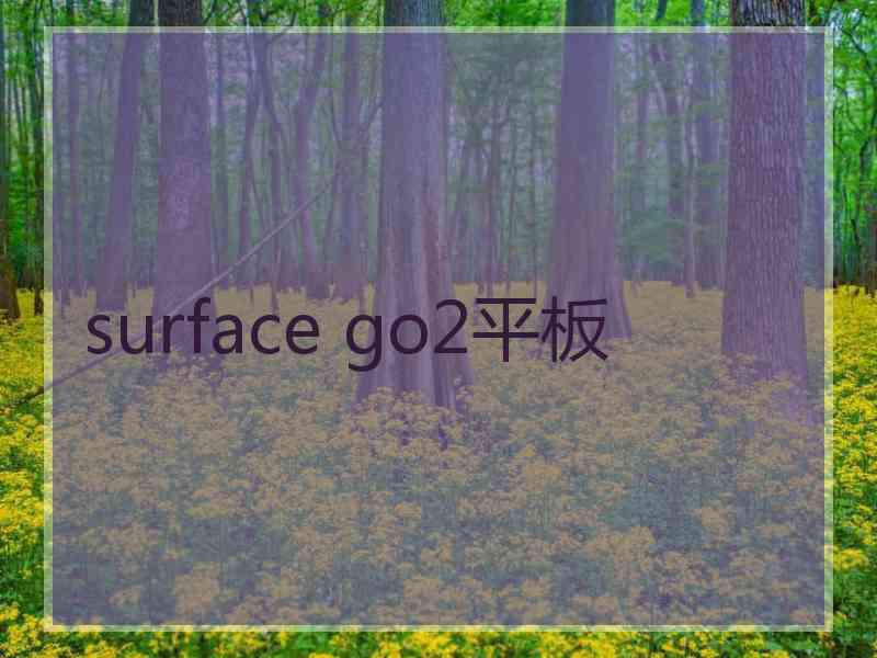 surface go2平板