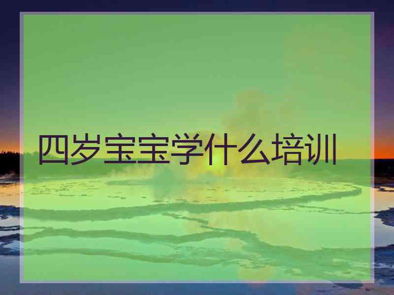 四岁宝宝学什么培训