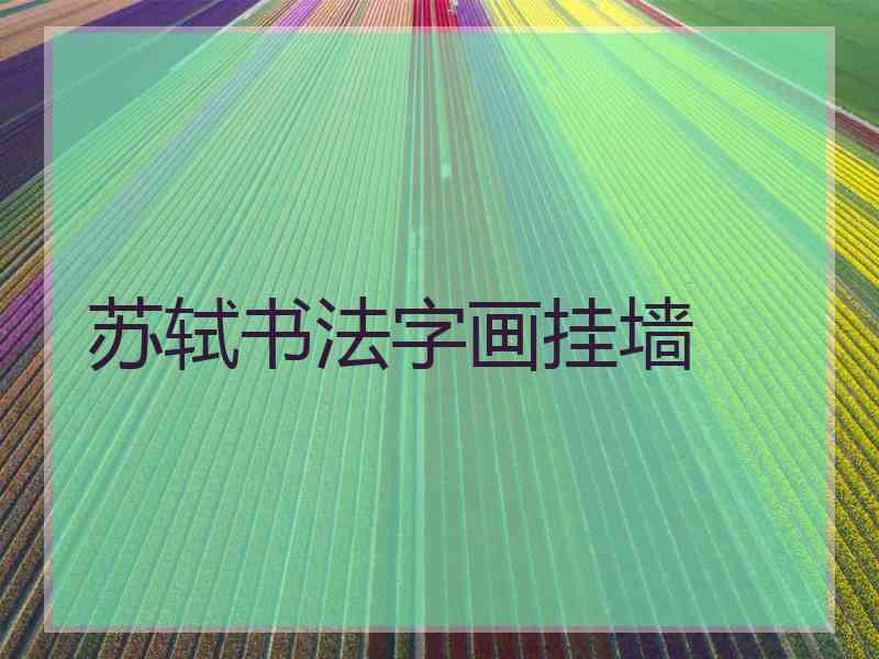 苏轼书法字画挂墙