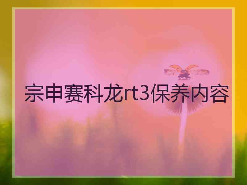 宗申赛科龙rt3保养内容