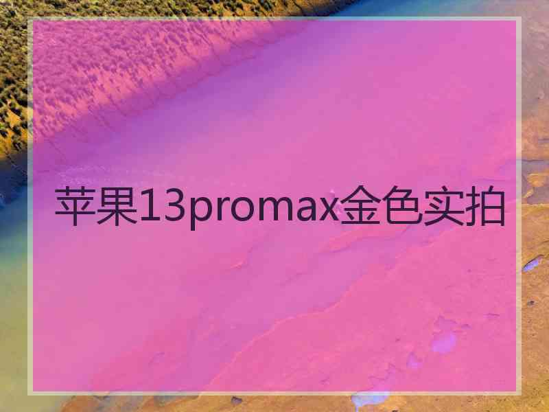 苹果13promax金色实拍