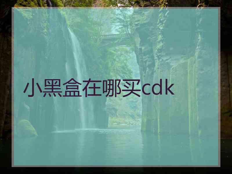 小黑盒在哪买cdk