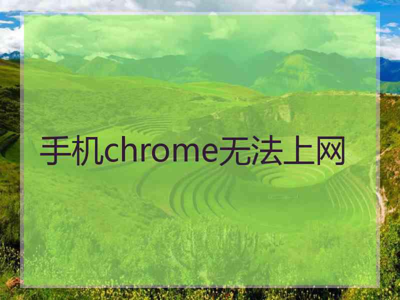 手机chrome无法上网