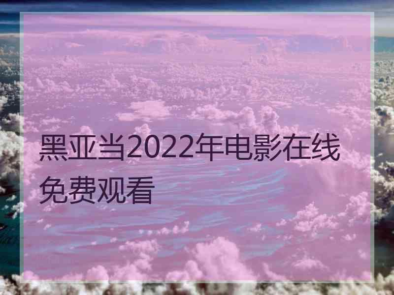 黑亚当2022年电影在线免费观看