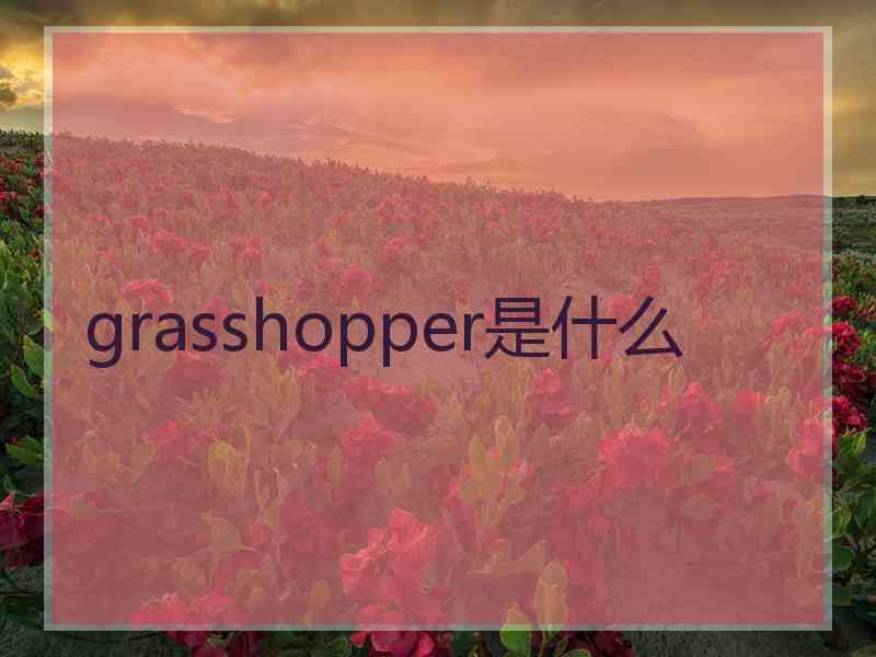 grasshopper是什么