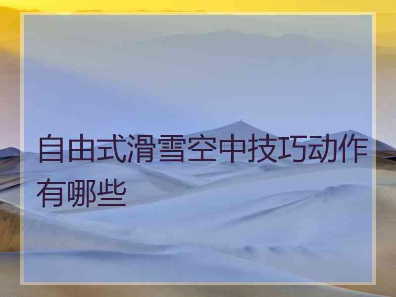 自由式滑雪空中技巧动作有哪些