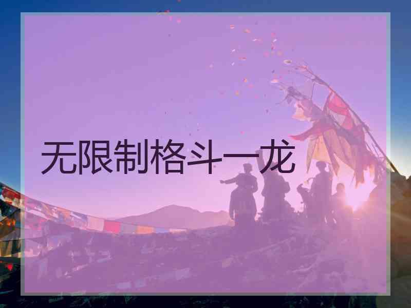 无限制格斗一龙