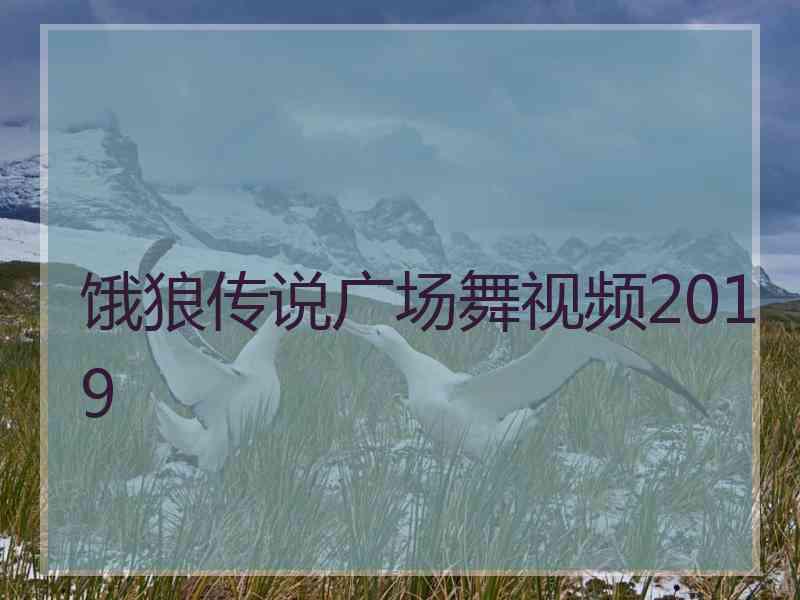 饿狼传说广场舞视频2019