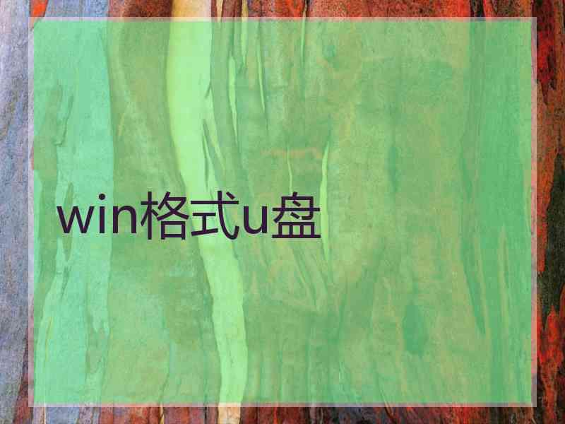 win格式u盘