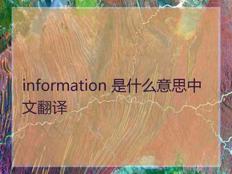 information 是什么意思中文翻译