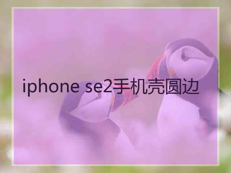 iphone se2手机壳圆边