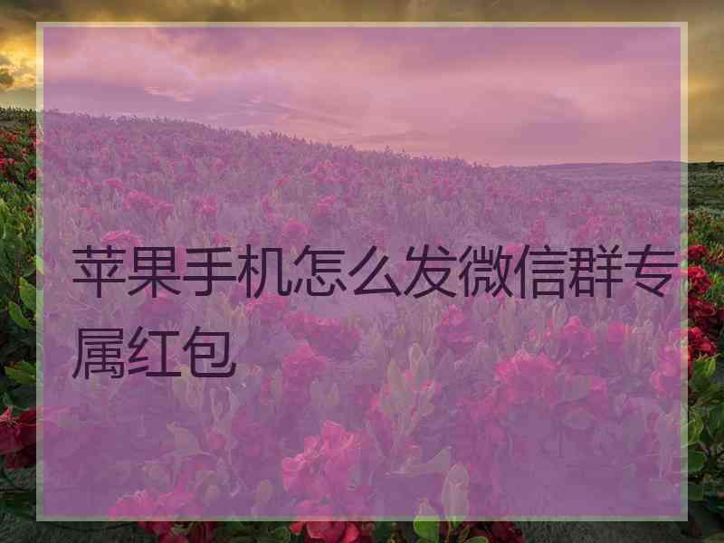 苹果手机怎么发微信群专属红包