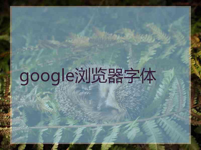 google浏览器字体