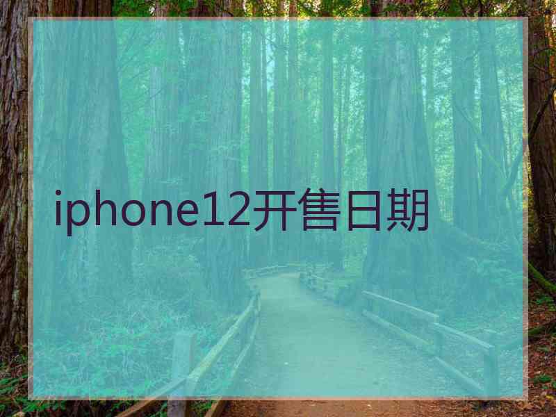 iphone12开售日期