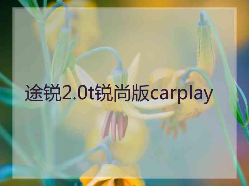 途锐2.0t锐尚版carplay