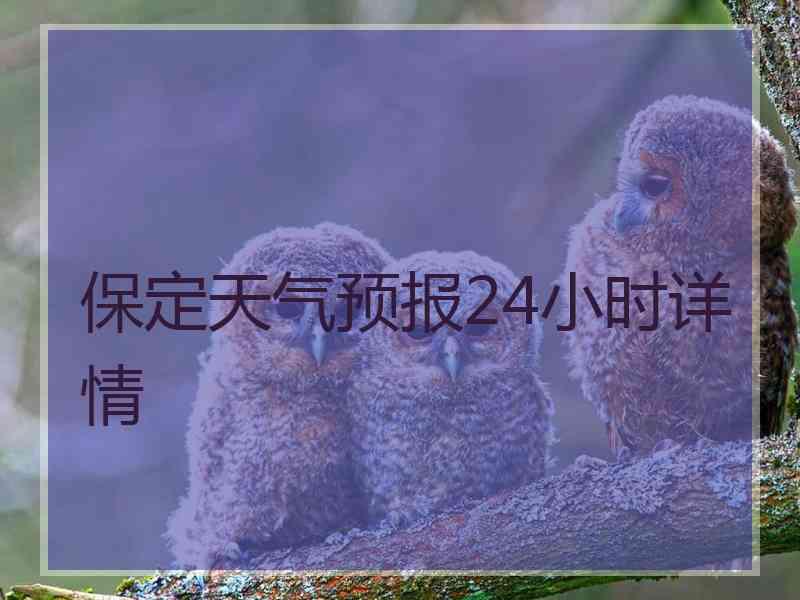 保定天气预报24小时详情