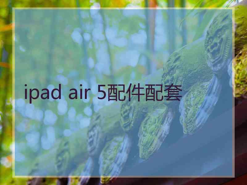 ipad air 5配件配套