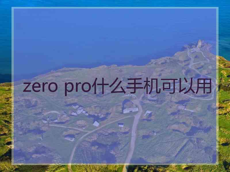 zero pro什么手机可以用