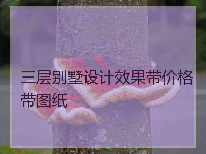 三层别墅设计效果带价格带图纸